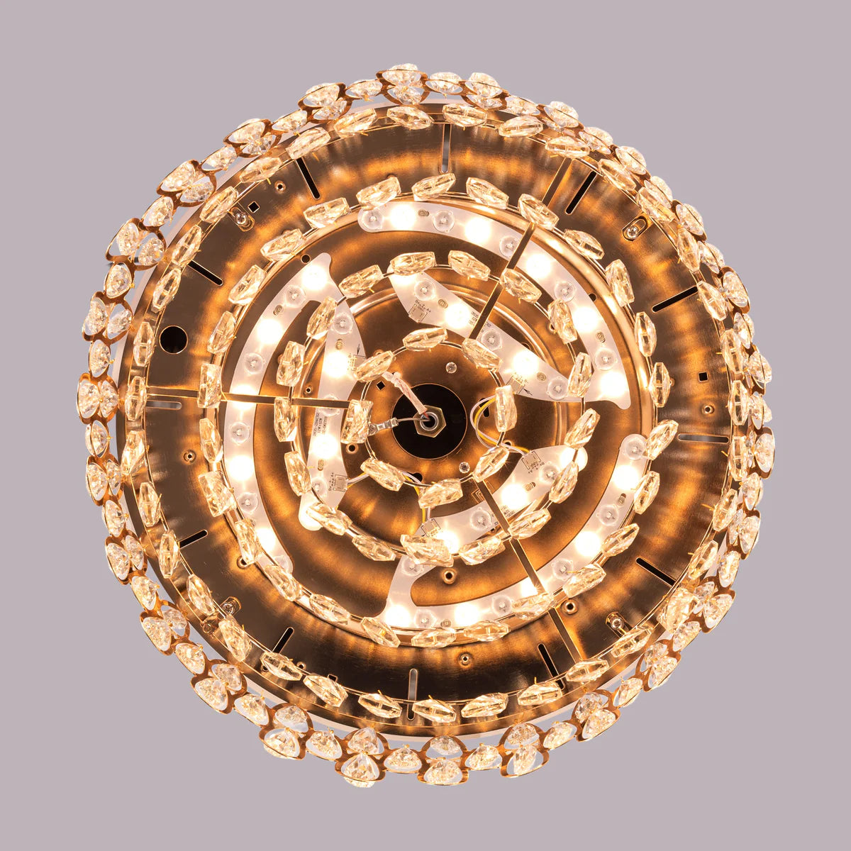 Flight of fancy Light