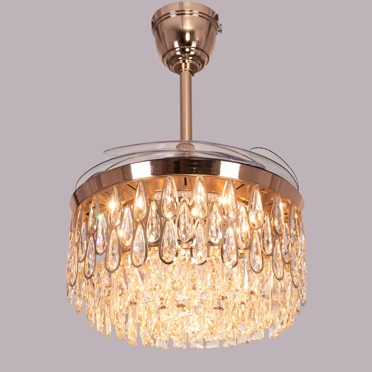 Flight of fancy Light