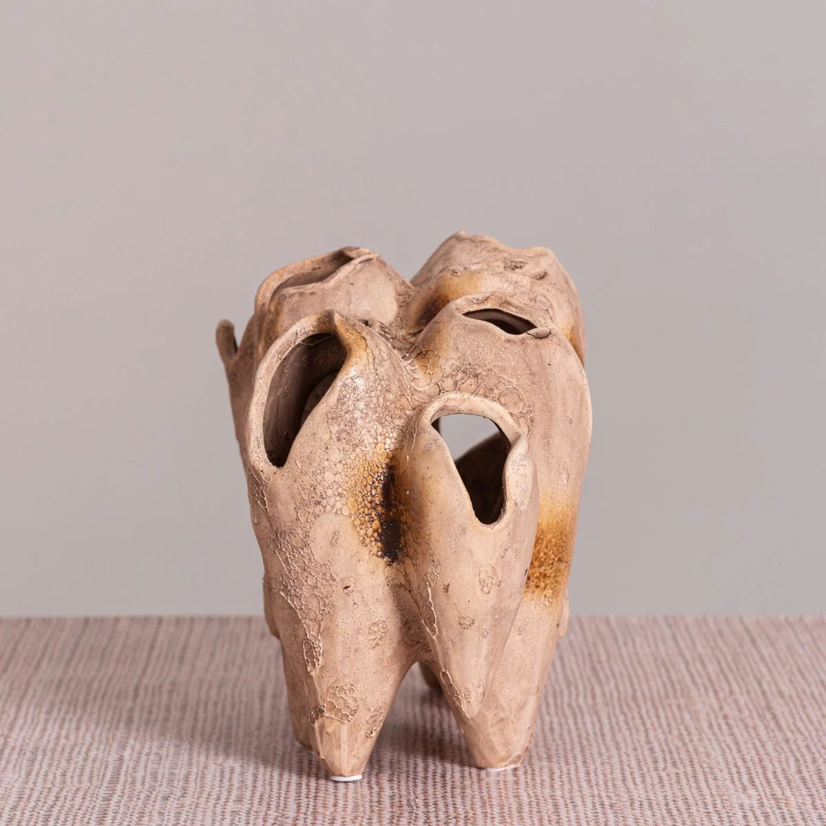 Lost World (Brown) Home Decor