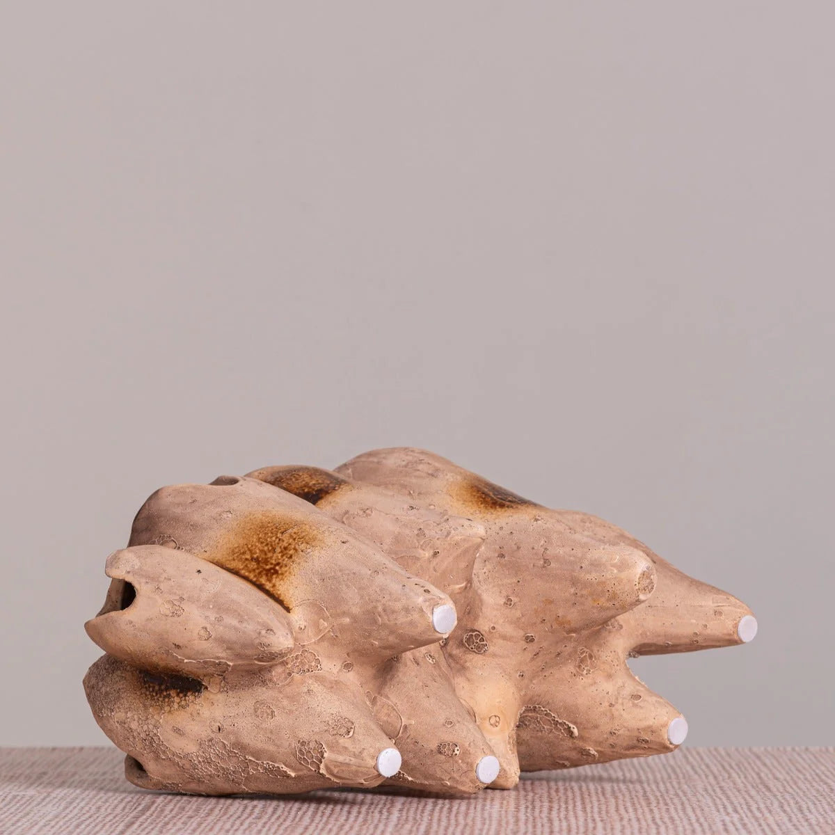 Lost World (Brown) Home Decor