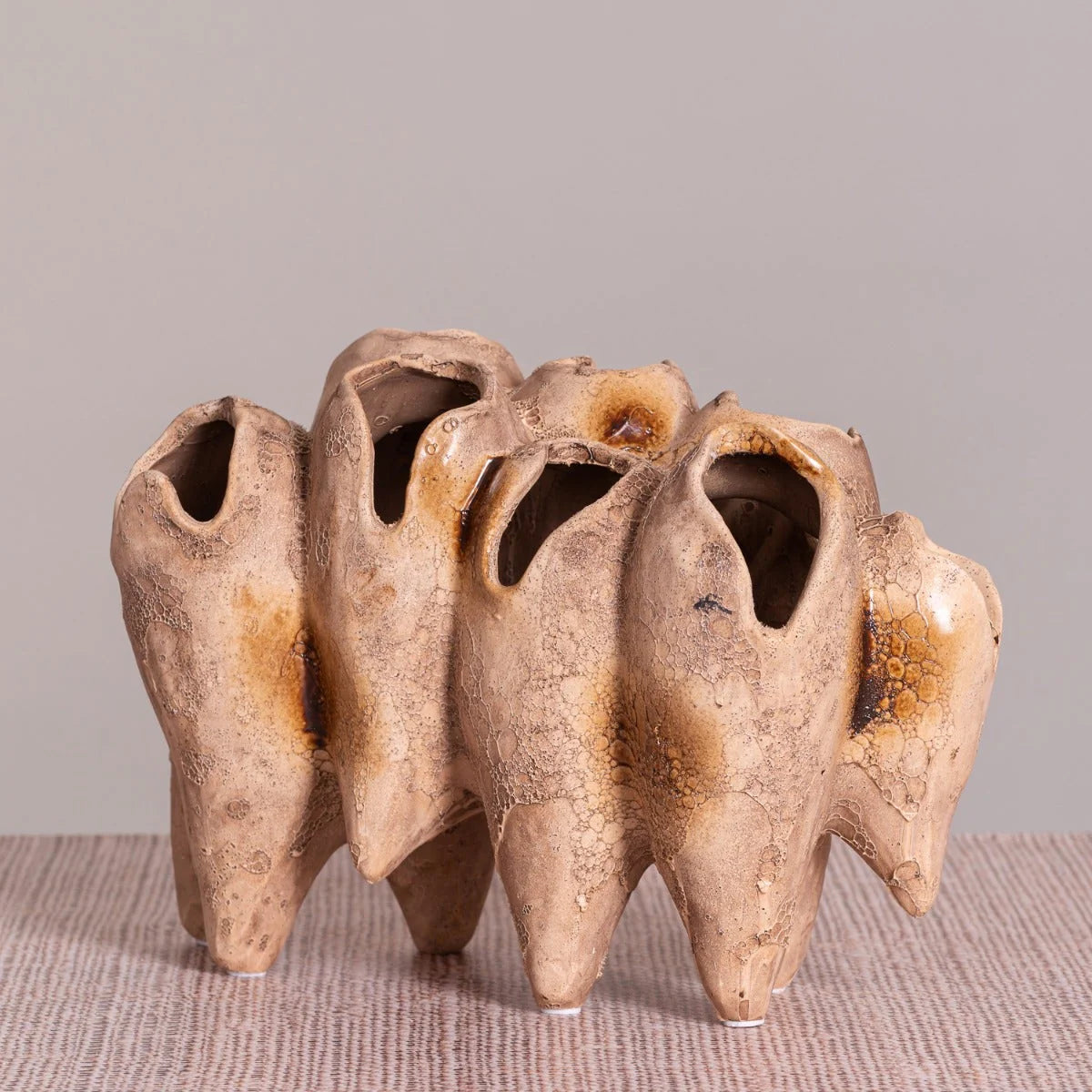 Lost World (Brown) Home Decor